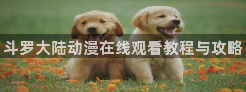 58动漫网手机版下载：斗罗大陆动漫在线观看教程与攻略