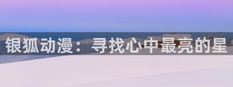 58动漫网站好看的动漫：银狐动漫：寻找心中最亮的星