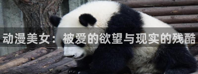 ,58动漫网：动漫美女：被爱的欲望与现实的残酷
