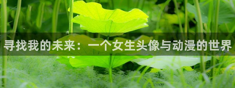 58动漫 官网：寻找我的未来：一个女生头像与动漫的世界