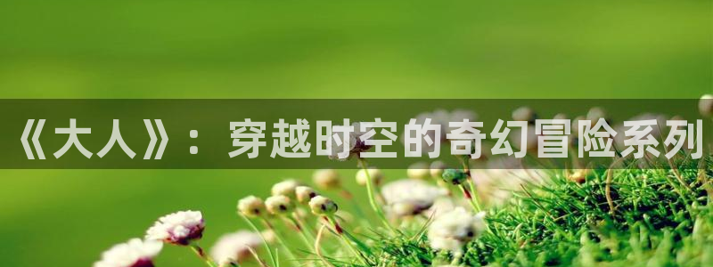 58动漫的网站：《大人》：穿越时空的奇幻冒险系列