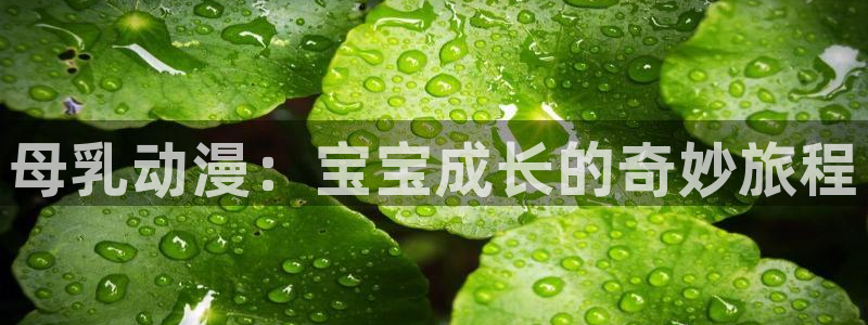 58动漫在线观看：母乳动漫：宝宝成长的奇妙旅程