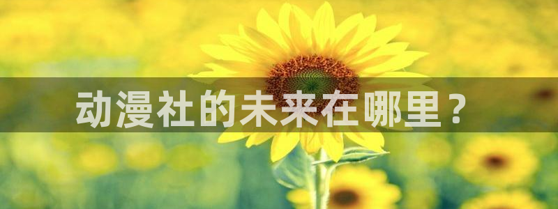 免费58动漫：动漫社的未来在哪里？