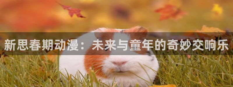 58动漫网：新思春期动漫：未来与童年的奇妙交响乐
