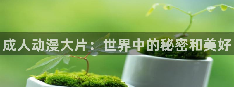 58动漫网：成人动漫大片：世界中的秘密和美好
