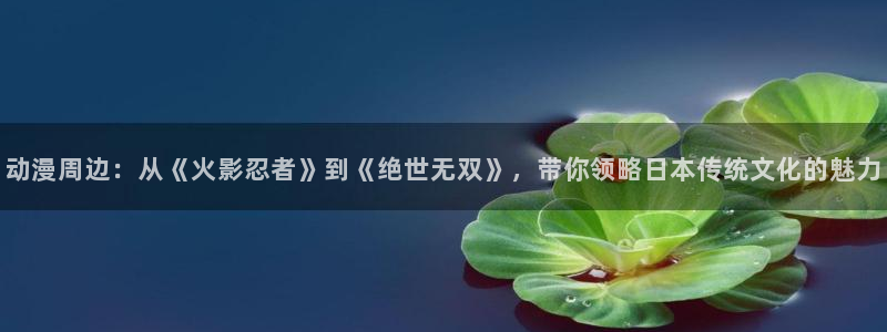 58动漫网站入口免费阅读动漫特点：动漫周边：从《火影忍者》到《绝世无双》，带你领略日本传统文化的魅力